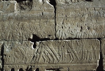 Relieve, Templo de Amón, Luxor, antigua Tebas (Lista del Patrimonio Mundial de la UNESCO de Egyptian 19th Dynasty
