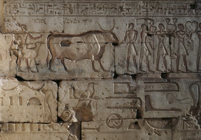Relieve, Templo de Ramsés II, Abidos, Egipto, Civilización egipcia, Reino Nuevo, Dinastía XIX (foto) de Egyptian 19th Dynasty