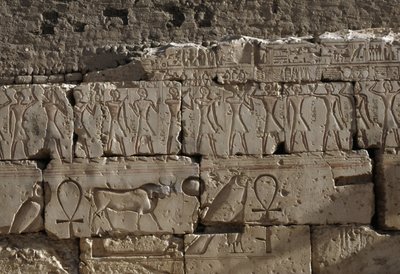 Relieve, Templo de Ramsés II, Abidos, Egipto, Civilización egipcia, Reino Nuevo, Dinastía XIX (foto) de Egyptian 19th Dynasty