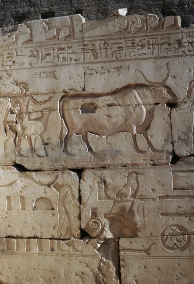 Relieve, Templo de Ramsés II, Abidos, Egipto, Civilización egipcia, Reino Nuevo, Dinastía XIX (foto) de Egyptian 19th Dynasty