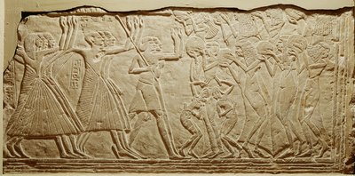 Relieve que representa un cortejo fúnebre, de Saqqara de Egyptian 19th Dynasty