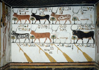 Siete vacas celestiales, toro esposo y cuatro remos de dirección, capítulo 148 del Libro de los Muertos (detalle) de Egyptian 19th Dynasty