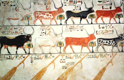 Las siete vacas celestiales y el toro sagrado y los cuatro timones del cielo, de la Tumba de Nefertari, Nuevo Reino (pintura mural) de Egyptian 19th Dynasty