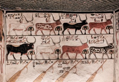 Tumba de Nefertari (pintura mural) de Egyptian 19th Dynasty