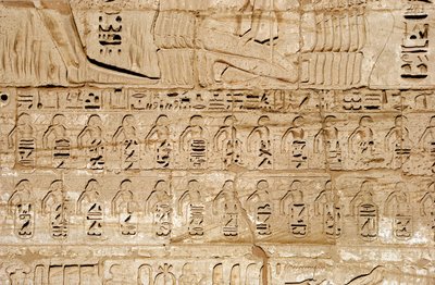 Antigüedad egipcia: detalle de los relieves del primer pilón representando los emblemas de las ciudades conquistadas por el faraón Ramsés III. Templo funerario de Ramsés III (1187-1156 a.C.). Luxor, Medinet Habou, Egipto de Egyptian 20th Dynasty