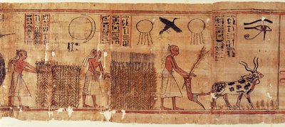 Libro de los Muertos de Neb-Hepet, detalle de los campos de Egyptian 21st Dynasty