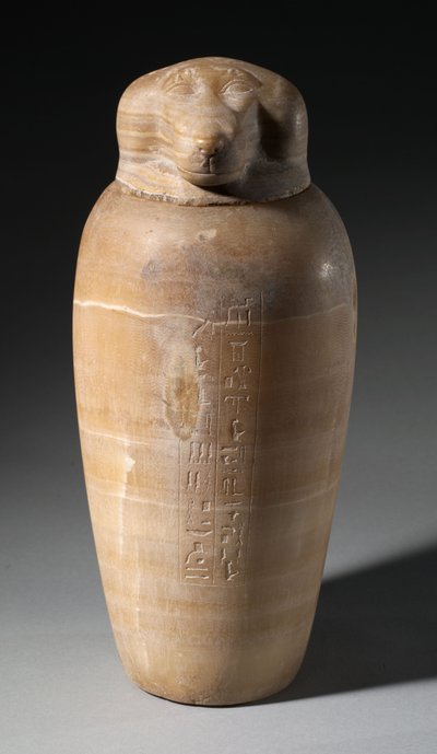 Jarra canópica con cabeza de babuino, 664-525 a.C. de Egyptian 26th Dynasty