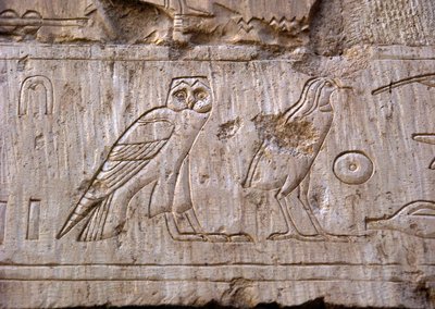Antigüedad egipcia: relieve representando un búho y un águila. Tumba de Ankh-Hor (Ankh Hor) (TT414) (Dinastía XXVI, 672-525 a.C.), Luxor (Tebas), Egipto de Egyptian 26th Dynasty