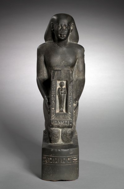 Estatua naofórica del oficial de finanzas y supervisor de campos, Horwedja, 521-486 a.C. de Egyptian 27th Dynasty