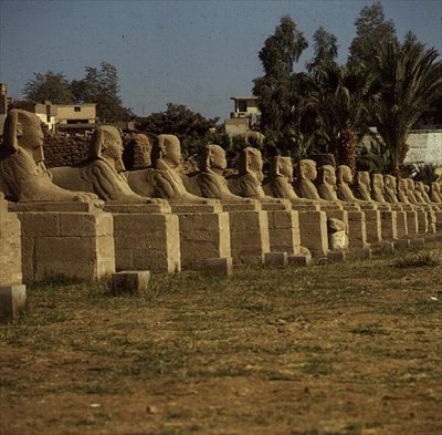 Avenida de Esfinges, añadida por Nectanebo I (380-362 a.C.) Período Tardío de Egyptian 30th Dynasty