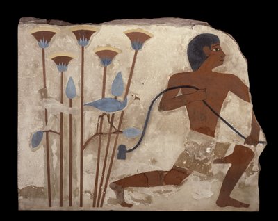 Caza de aves, relieve de la Tumba de Nefermaat, Reino Antiguo, c.2620 a.C. de Egyptian 4th Dynasty