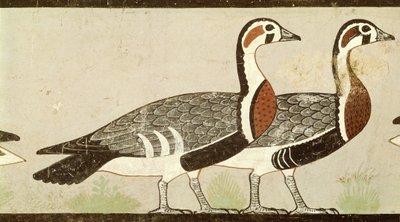 Gansos de Meidum, de la Tumba de Nefermaat y Atet, Reino Antiguo, c.2620 a.C. (estuco pintado) de Egyptian 4th Dynasty
