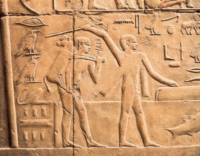 Escenas de trabajo agrícola, detalle de Egyptian 4th Dynasty