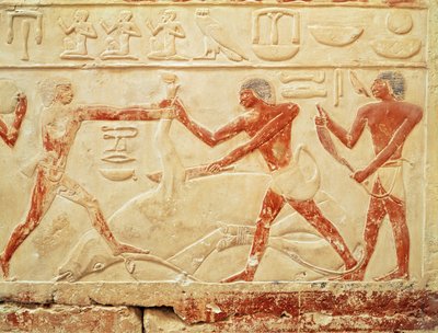 Carniceros sacrificando un buey, relieve de la tumba de la princesa Idut, Reino Antiguo, c.2330 a.C. de Egyptian 6th Dynasty