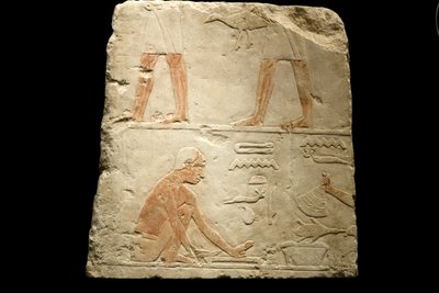 Fragmento de un relieve que representa la preparación de alimentos (caliza) de Egyptian 6th Dynasty