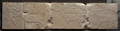 Relieve de hombres trayendo animales del desierto, c.2311-2281 a.C. de Egyptian 6th Dynasty