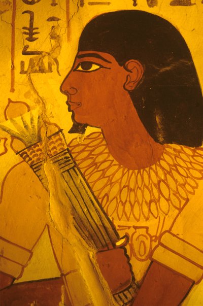 Antiguo Egipto, Tumba de Sennufer, pintura mural, fresco, Sennufer recibiendo capullos de loto, alcalde de Tebas, supervisor bajo Amenofis II de Egyptian Egyptian