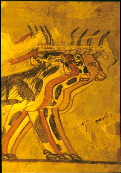 Antiguo Egipto, Pintura mural, Tumba de Sennufer, Tumba de los Nobles, Tebas de Egyptian Egyptian