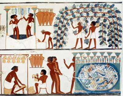 Arte egipcio: recogida y pisado de uvas de Egyptian Egyptian