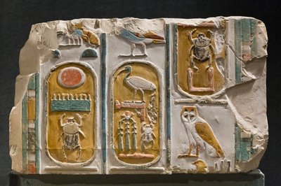 Muro tallado que representa tres cartuchos del rey Tutmosis I y III. de Egyptian Egyptian