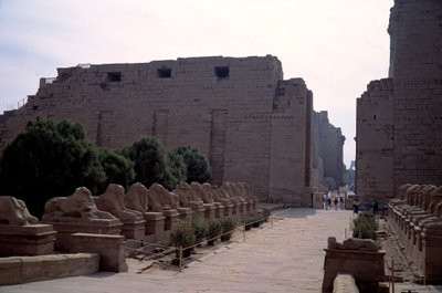 Antigüedad egipcia: avenida (dromos) de los criosfinges (Esfinges con cabeza de carnero) en Karnak, Luxor, Egipto de Egyptian Egyptian