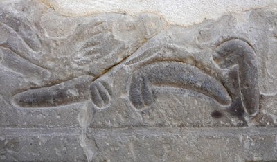 Montones de genitales masculinos cortados por el enemigo, Templo de Horus, Edfu. de Egyptian Egyptian