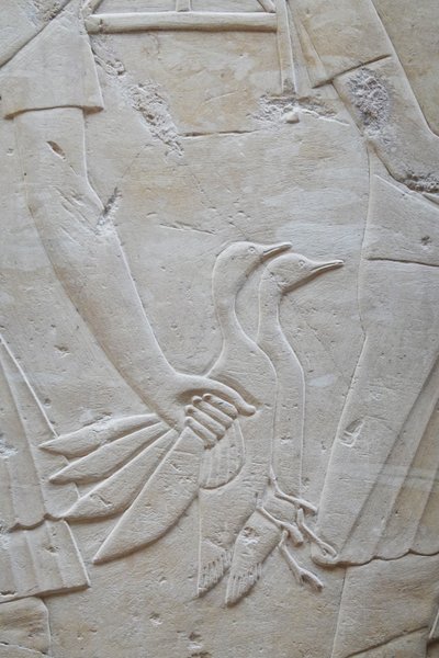 Mano sujetando 2 ocas por las alas, tumba de Ramose de Egyptian Egyptian