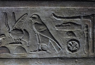 Hieroglyps, Abeja del Faraón y Halcón de Horus, Templo de Horus, Edfu de Egyptian Egyptian