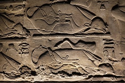 Templo de Luxor: Vacas sacrificadas (relieve) de Egyptian Egyptian