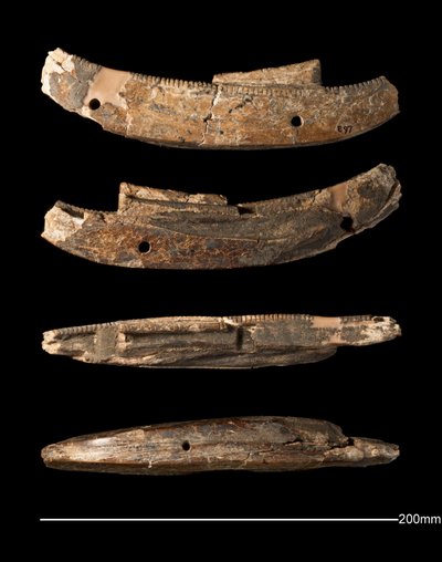 Barco modelo, Hierakonpolis, Período Dinástico Temprano (c. 2950 - c. 2575 a.C.) (marfil tallado) de Egyptian Egyptian