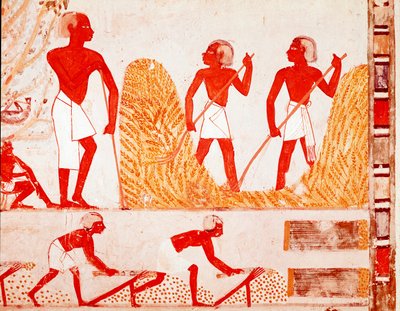 Escena de cosecha en el Antiguo Egipto (Fresco) de Egyptian Egyptian