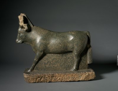 Toro Apis, 400-100 a.C. de Egyptian Ptolemaic Period