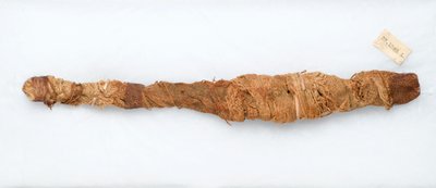 Momia de un cocodrilo, encontrada en Manfalont, 305-30 a.C. de Egyptian Ptolemaic Period