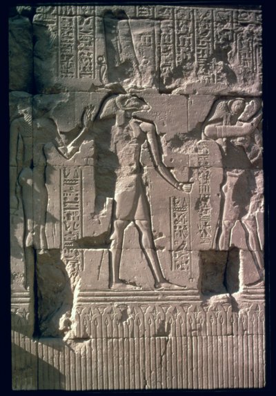 Relieve que representa a Khnum, del muro de pantalla del Templo de Khnum de Egyptian Ptolemaic Period