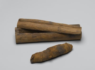 Pequeño ataúd de serpiente, con momia, 664 a.C.-322 a.C. de Egyptian School