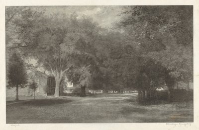 Olmos de Nueva Inglaterra de Elbridge Kingsley