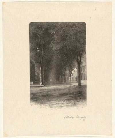 Sin título [Calle arbolada] de Elbridge Kingsley