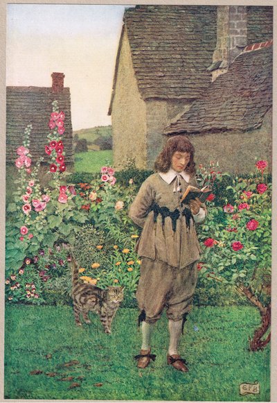 The Wish, ilustración de 