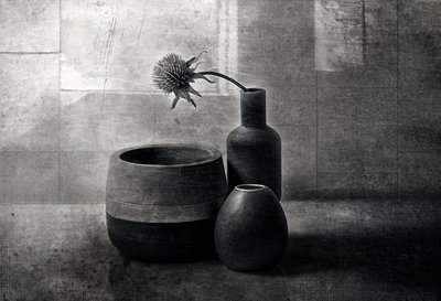 Embarcaciones «Moody Thistle» de Elena Arjona