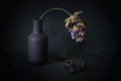 Flores y bayas a la sombra de Elena Arjona