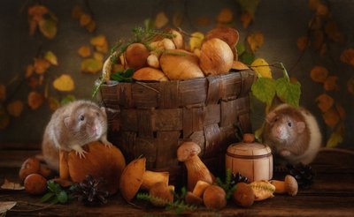 Amigos de las setas de otoño de Eleonora Grigorjeva