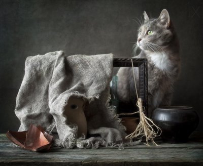 Naturaleza muerta vintage con un gato de Eleonora Grigorjeva