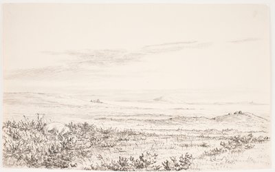 Paisaje de brezal ondulado con dos zorros de Eleonore Christine Tscherning
