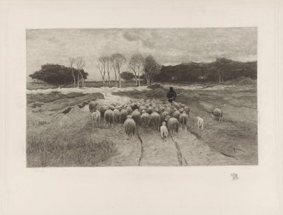 Shepherd de Elias Stark