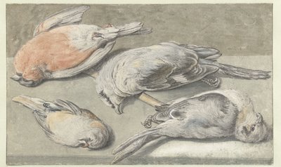 Bodegón con cuatro pájaros muertos de Elias Vonck