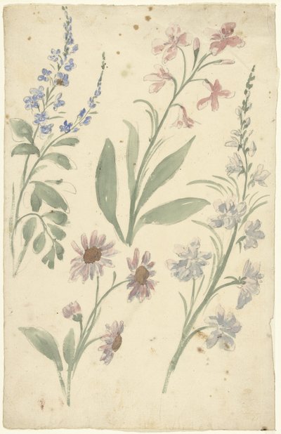 Cuatro estudios de flores rosas y azules de Elias van Nijmegen
