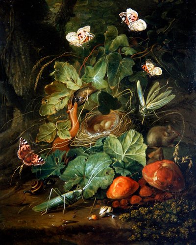 Un bodegón de suelo forestal con frutas y mariposas de Elias van den Broeck