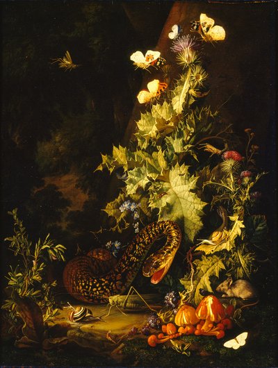Naturaleza muerta con una serpiente, principios del siglo XVIII de Elias van den Broeck