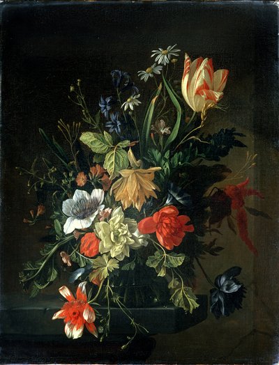 Imagen desconocida de Elias van den Broeck