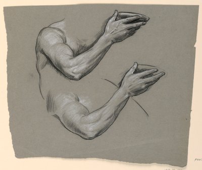 Dibujo, Detalle de dos brazos masculinos, ca. 1885 de Elihu Vedder